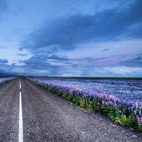 如何在2019年5月29日获得名称