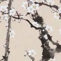 火命人适合戴黄金还是玉 玉石属寒性火命不宜佩戴