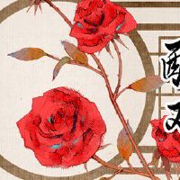 男猪与女猪属相婚配好吗 相互救赎相互尊重