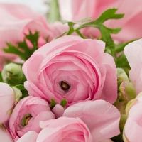 吉日查询:2022年5月12日是结婚好日子吗