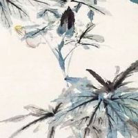 车牌567顺子号的含义 最新豹子车牌号码推荐