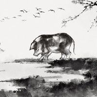 4月2022年4月的猪肉妇女情感财富是平的