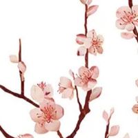 做生意搬家先搬什么最好 净宅可驱邪避难