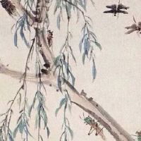 2022年农历二月份虎宝宝好不好 五行属什么是什么命