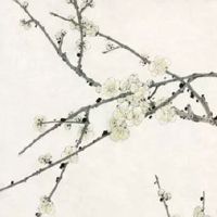 网上卖百货起啥名字好呢 贴心大气的店铺取名