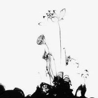 结婚首饰盒里放什么 金银首饰最适合