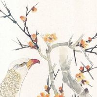 本命年女儿可以给妈妈买红吗 本命年女儿给妈妈买红福气旺