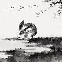 是兔子吗？它是出轨吗？他们如何狂奔？