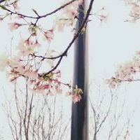 属羊人2022年全年运势 即将迎来添丁之喜