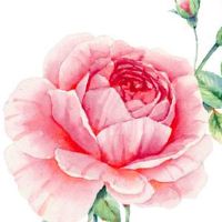 本命年虎年女人带什么东西能转运 本命年虎女戴玉如意大吉大利