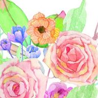 本命年换工作会不会更好 金发晶让本命年人事事亨通