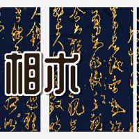 从政治妇女面对官方卢宫