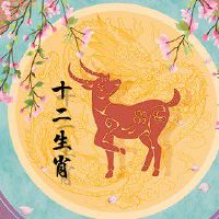 属羊女2022年犯桃花运 生活学会换位思考