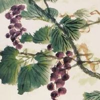 手机豹子号在哪买最便宜 旺运势的手机号码盘点