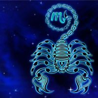 11月的星座是什么？