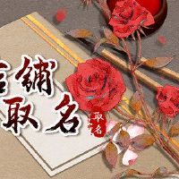 外国女子服装店名称大全国家罗布德女装店