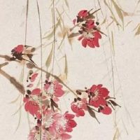 2022年3月剖腹产生子上等好日子 产子注意事项和建议