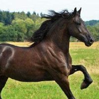 这是一个出生在月亮中的月亮。