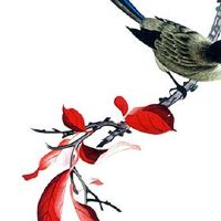 本命年护身符什么时候求 除夕夜戴护身符去煞提运