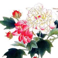 本命年金饰是自己买还是长辈送 长辈送黄金转运珠家庭和睦