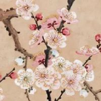 为什么说"正月十五不躲灯,先死老公公" 不躲灯危害大