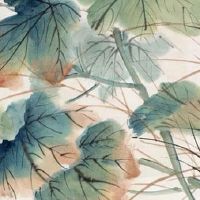 2022年属龙人手机号吉祥数字 幸运招财的号码推荐