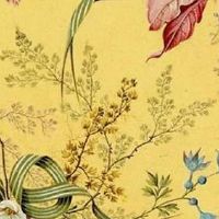 车牌是豹子的是什么车多少钱 汽车风水的讲究