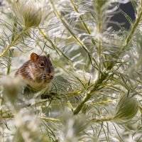 2020名学生是最​​好的