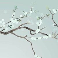 2022年属虎全年运势女 吉星高照财运尚可