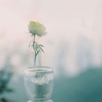 十二个星座真实地说，你在拍摄吗？