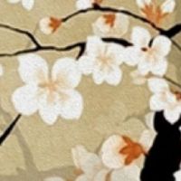 属兔人遇虎年必有一破 贵人相助事业有巨大突破