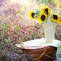 2022年的农历新年的虎年？这是一个jist？