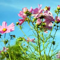 2021年月球日历5月26日出生男孩开始好名字大全