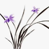 公司名称大全集2022最新的 新秀热门企业取名常用字