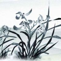 2022年正月十七出行好不好 外出途中注意事项