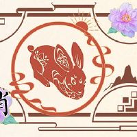 2023年，小兔子太老了，怎么样？