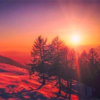 2022年，虎的第六年，是适合美好的一天吗？