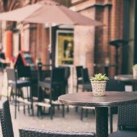 十二生肖女性的美好生活指数