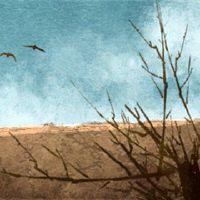 财富八个字符是光滑的，没有培训