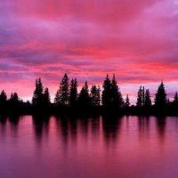 鑫李日本2022，幸运年份是什么？