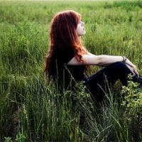 高品质但仍然单一的黄道带