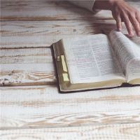 12个星座的座右铭是什么？