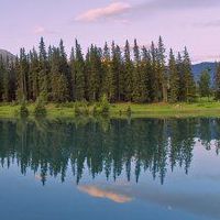 如何获得2019年4月11日出生的女性婴儿的名字