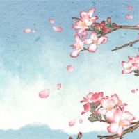 已婚八个字符八个字符印刷学生