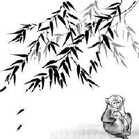 今年2022年2022年的第二块猴子多大了？