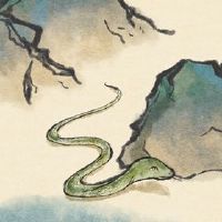 2022年2022年的2022岁2022年的年龄多大