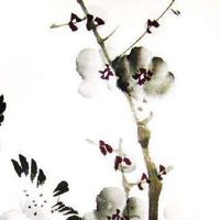 免费取名大全2022最新版的 新潮有创意的公司起名