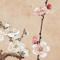 1998年属虎姻缘在哪年最旺盛 生肖蛇与虎最般配