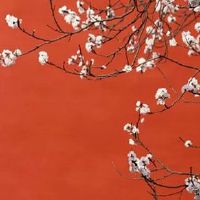 夫妻都属虎的婚姻状况 亲密无间运势提升