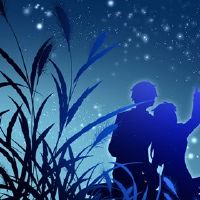 这两个物品的婚礼婚礼情况如何?